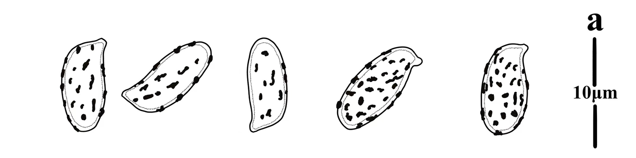 Figure 128